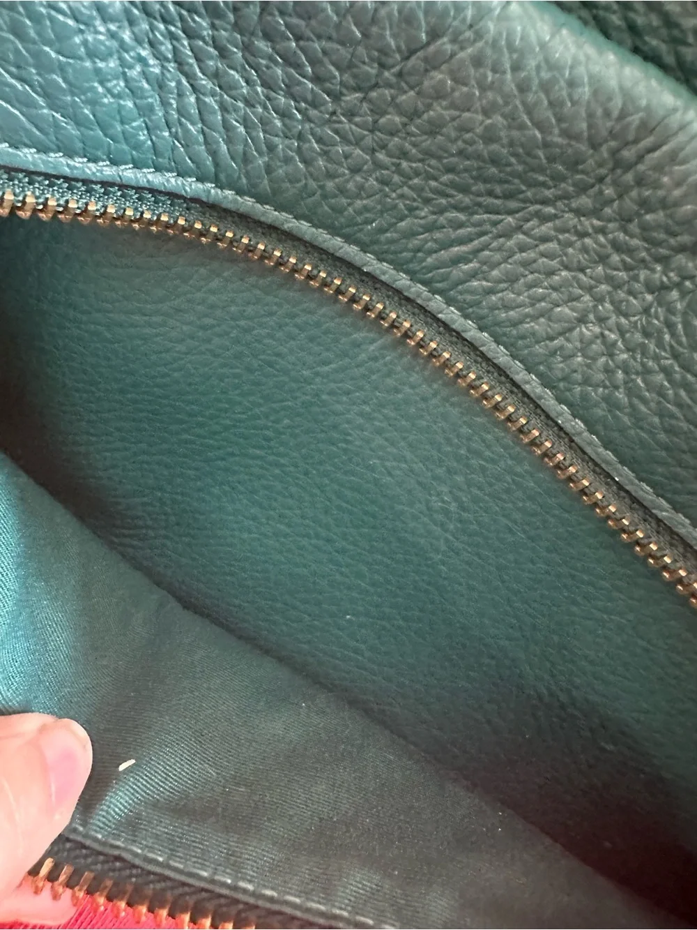 Coach 2019 viridian